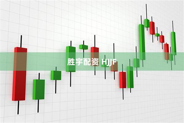 胜宇配资 HJJF