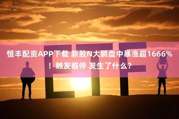 恒丰配资APP下载 新股N大鹏盘中暴涨超1666%！触发临停 发生了什么？